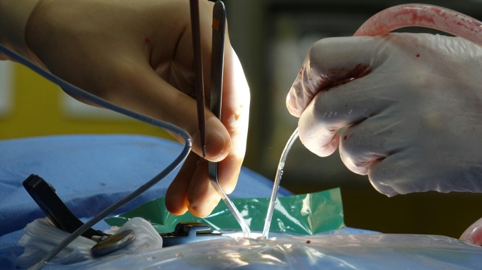 Diatermia chirurgiczna – Nowoczesne technologie w zabiegach chirurgicznych